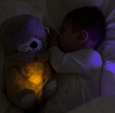 Sleepy Otter Baby Toy