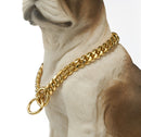 Golden Guardian Collar for Dogs