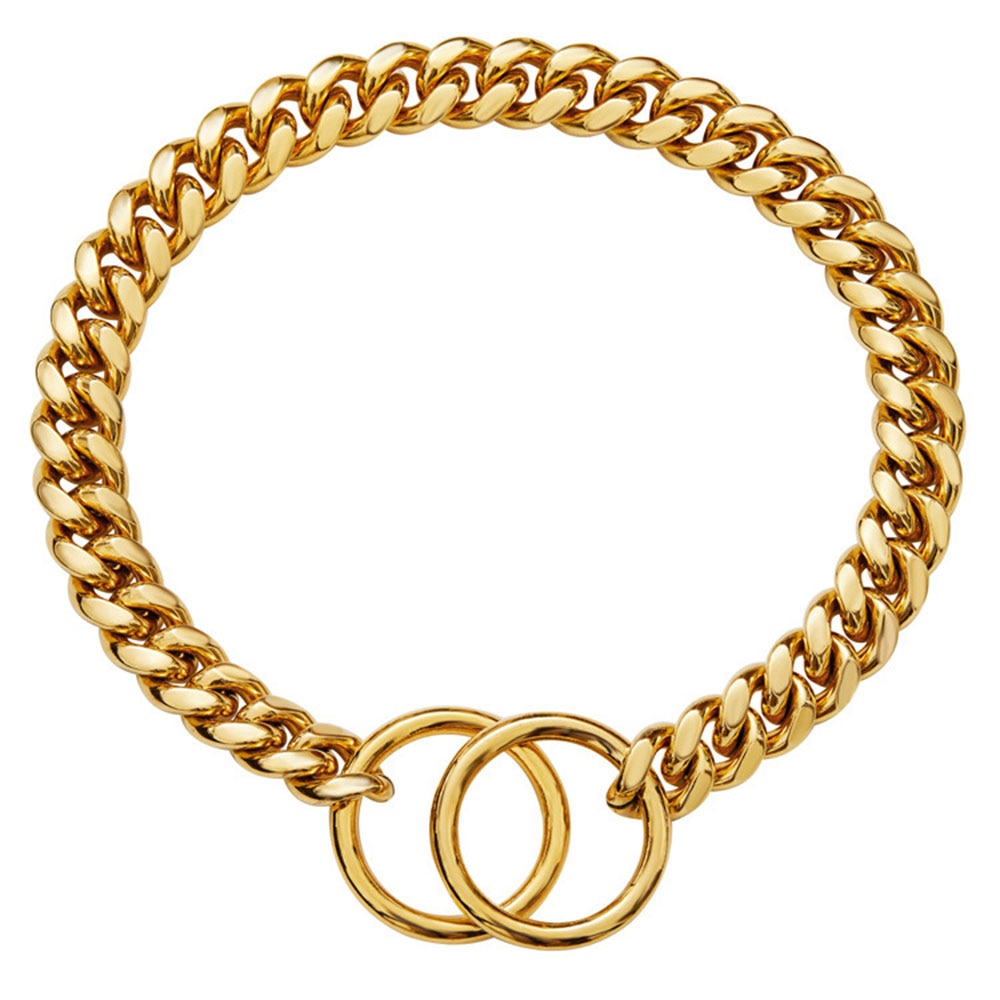Golden Guardian Collar for Dogs