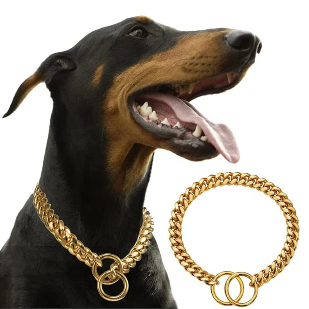 Golden Guardian Collar for Dogs