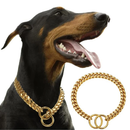 Golden Guardian Collar for Dogs