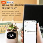 Smart pot with mood adaptation for hydras, ideal for living rooms and general offices.