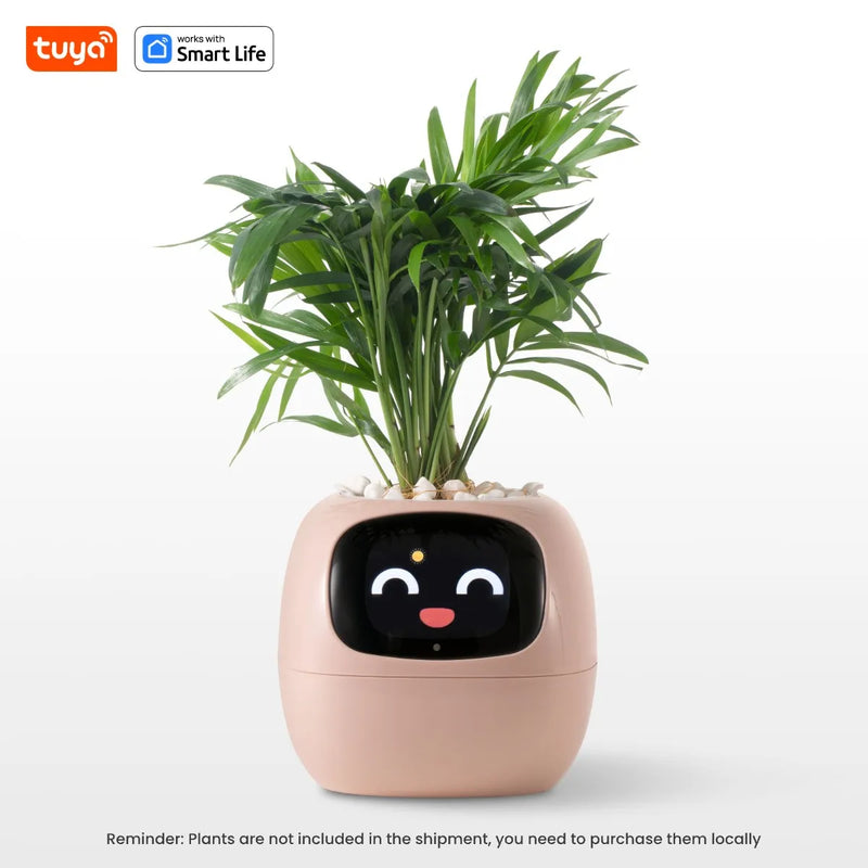 Smart pot with mood adaptation for hydras, ideal for living rooms and general offices.