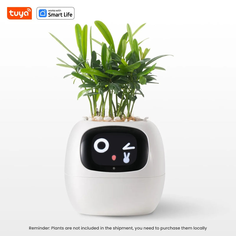 Smart pot with mood adaptation for hydras, ideal for living rooms and general offices.