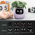 Smart pot with mood adaptation for hydras, ideal for living rooms and general offices.