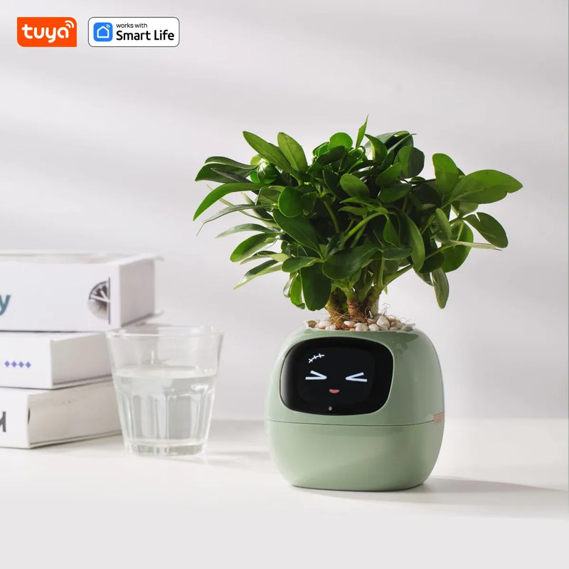 Smart pot with mood adaptation for hydras, ideal for living rooms and general offices.