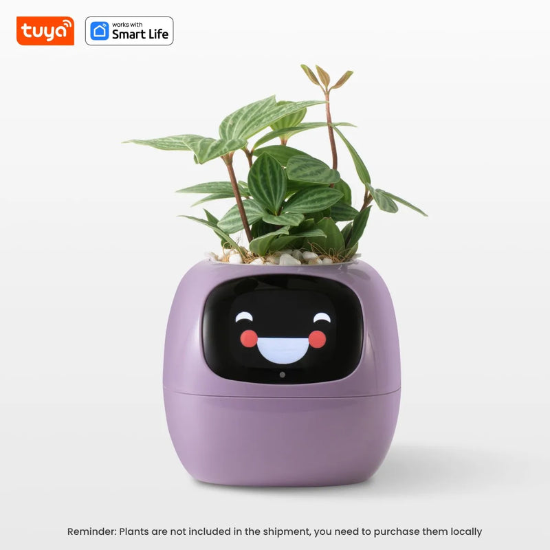 Smart pot with mood adaptation for hydras, ideal for living rooms and general offices.