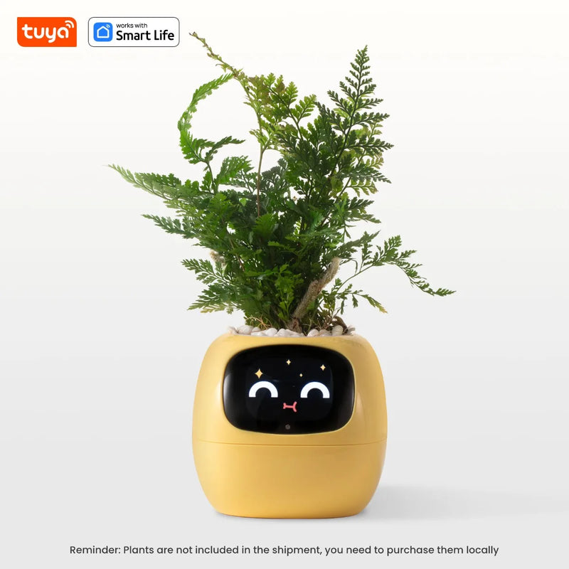 Smart pot with mood adaptation for hydras, ideal for living rooms and general offices.