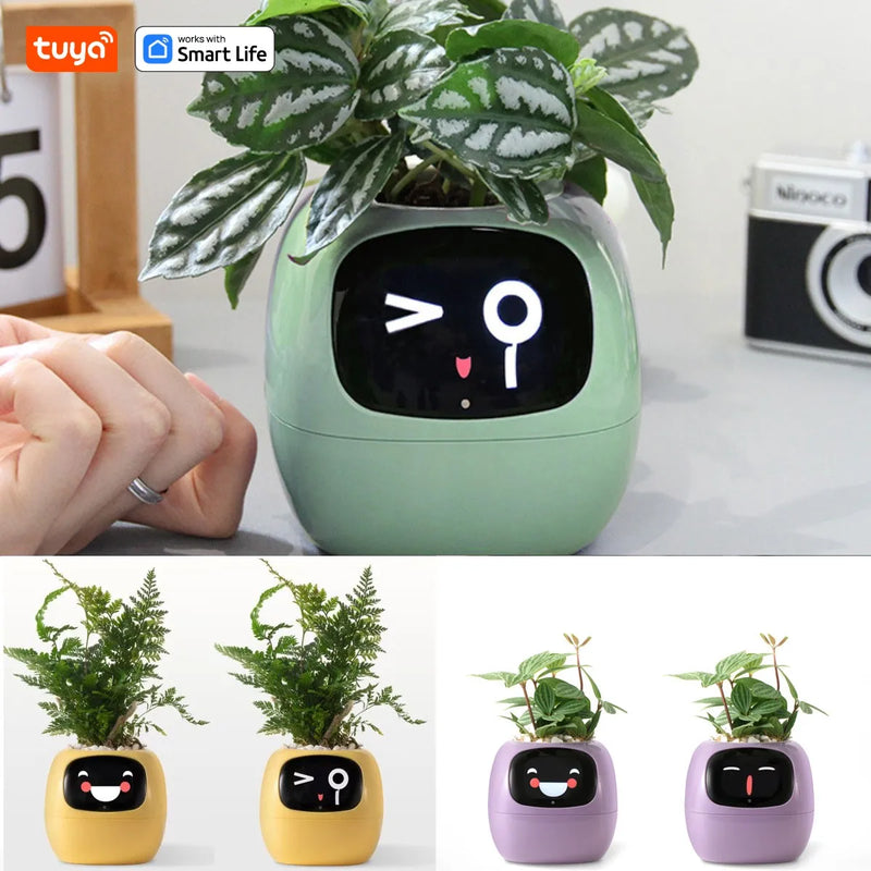 Smart pot with mood adaptation for hydras, ideal for living rooms and general offices.