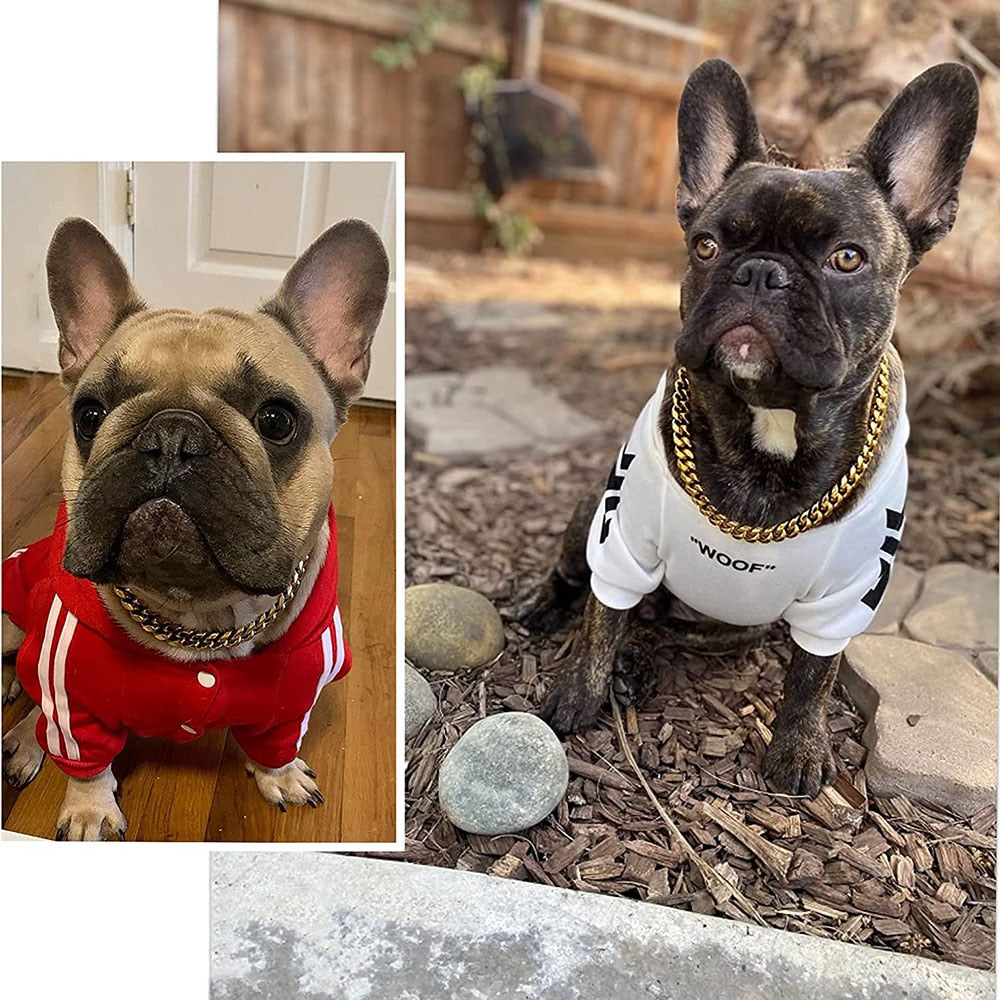 Golden Guardian Collar for Dogs