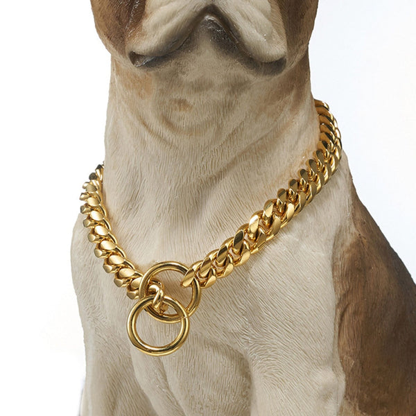 Golden Guardian Collar for Dogs